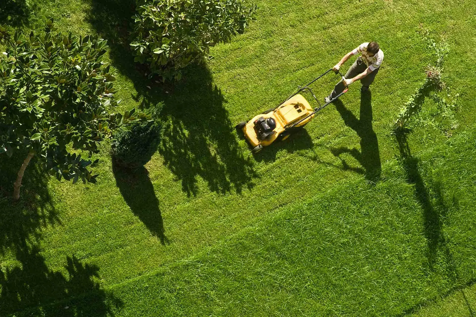 Lawn Care Services in Cedar Rapids, IA