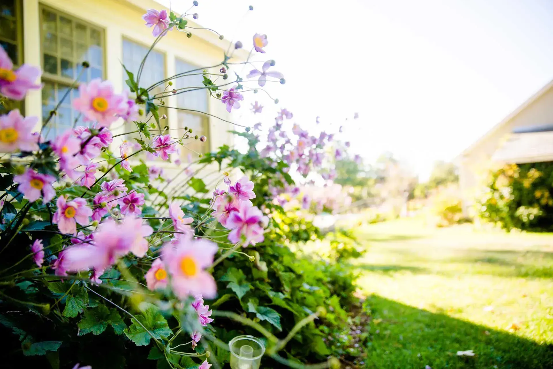 Gallery of landscaping and snow removal projects
