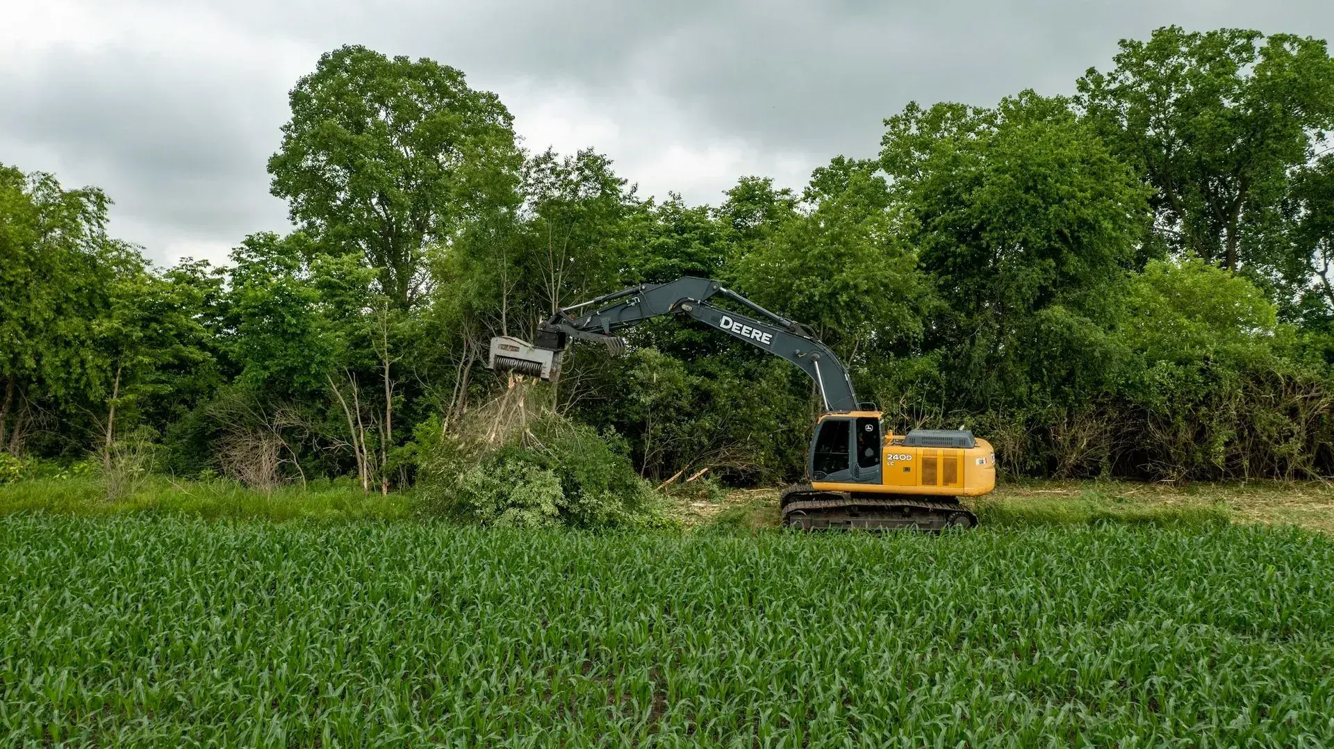 Brush Removal Service in Cedar Rapids, IA